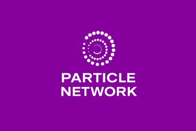 particle network